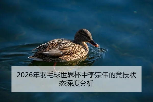 2026年羽毛球世界杯中李宗伟的竞技状态深度分析