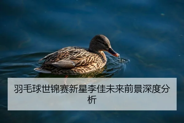 yu-mao-qiu-shi-jin-sai-xin-xing-li-jia-wei-lai-qian-jing-shen-du-fen-xi-2-393.jpg