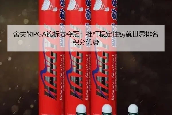 she-fu-lei-jin-biao-sai-duo-guan-tui-gan-wen-ding-xing-zhu-jiu-shi-jie-pai-ming-ji-fen-you-shi-2-699.jpg