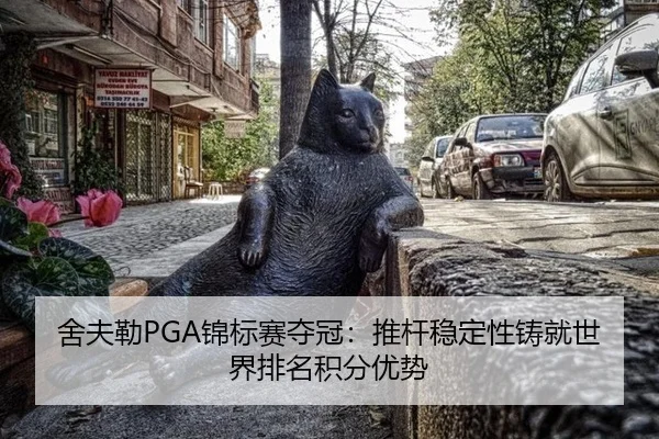 she-fu-lei-jin-biao-sai-duo-guan-tui-gan-wen-ding-xing-zhu-jiu-shi-jie-pai-ming-ji-fen-you-shi-3-837.jpg